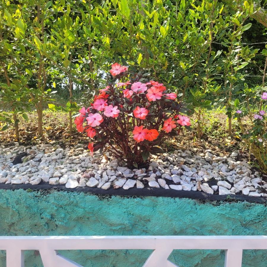 Finca Hotel El Turpial Quimbaya Eksteriør billede